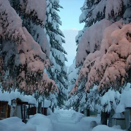 Lägenhetshotell Campodolcino Camping